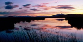 癫痫病可以喝酒吗