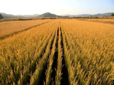 北安地区义诊筛查正式开始 黑龙江中亚医院“抗癫路上2018”成为广大病友坚实的后盾